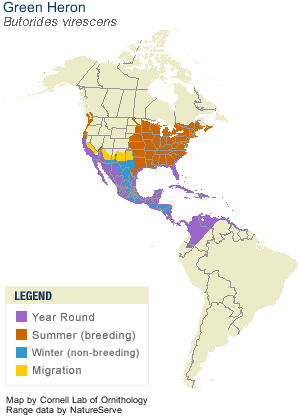 Range map of Green Heron